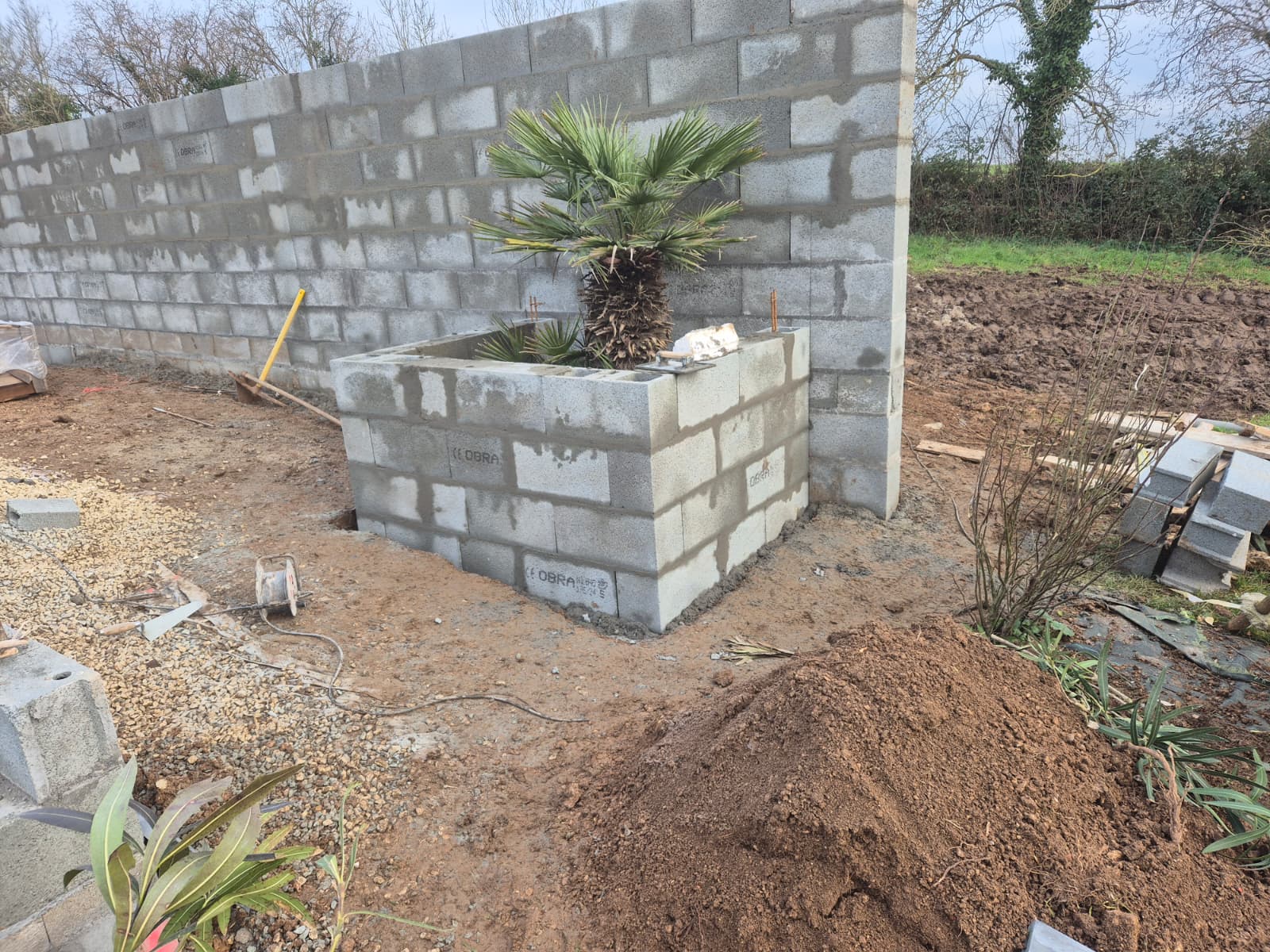 Mur en parpaings avec jardinière maçonnée accueillant un palmier